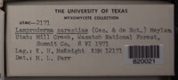 Image Associated With the Occurence